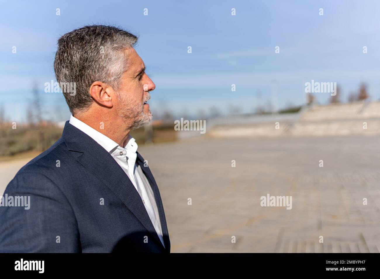 Seitenansicht eines nachdenklichen Geschäftsmanns in formeller Kleidung, der auf der Straße steht und die malerische Landschaft bewundert Stockfoto