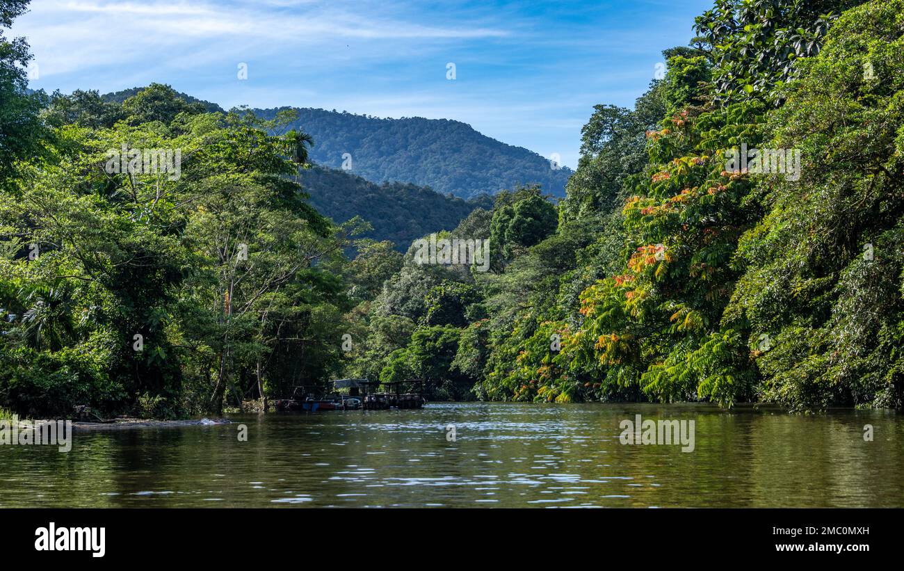 Fluss Durch Den Gunung Mulu Nationalpark Stockfoto