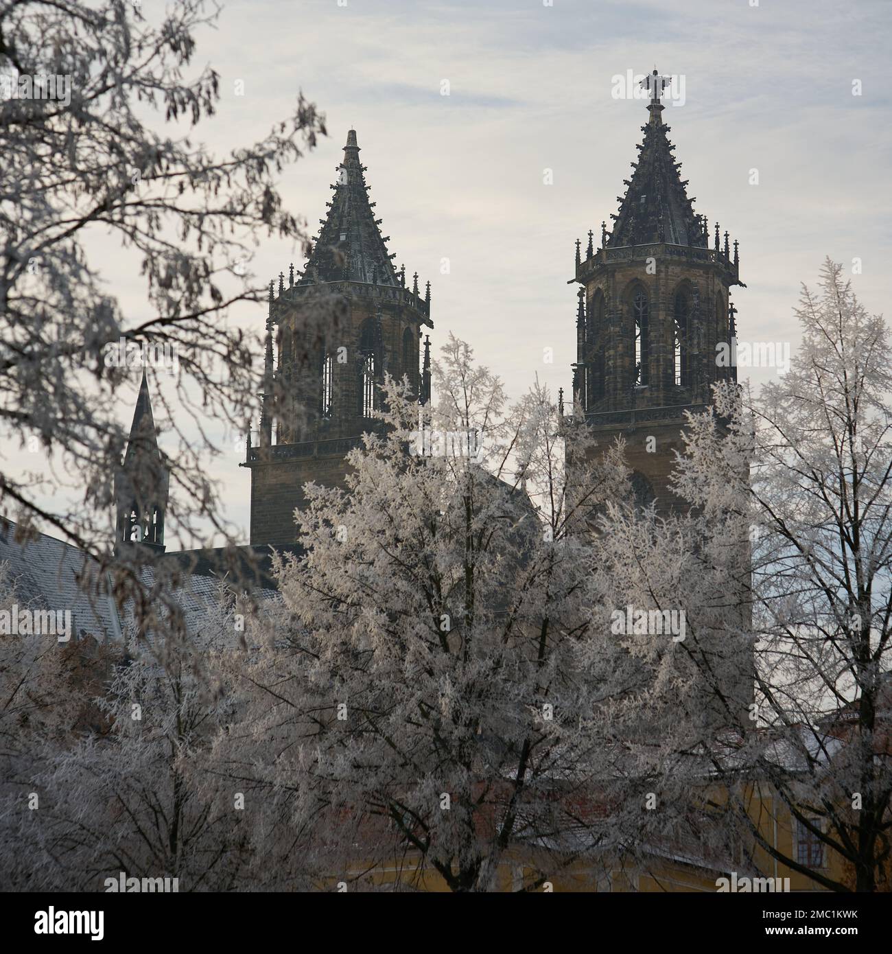 Blick auf die Magdeburger Kathedrale, das Wahrzeichen der Stadt an der Elbe Stockfoto