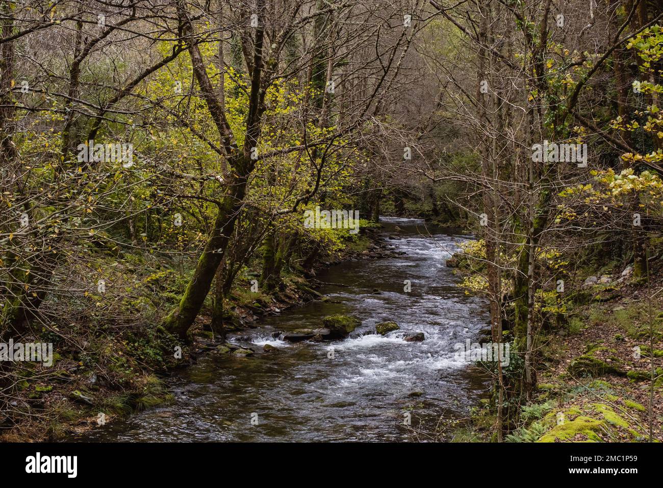 Lor River in Serra do Courel, Lugo, Spanien Stockfoto