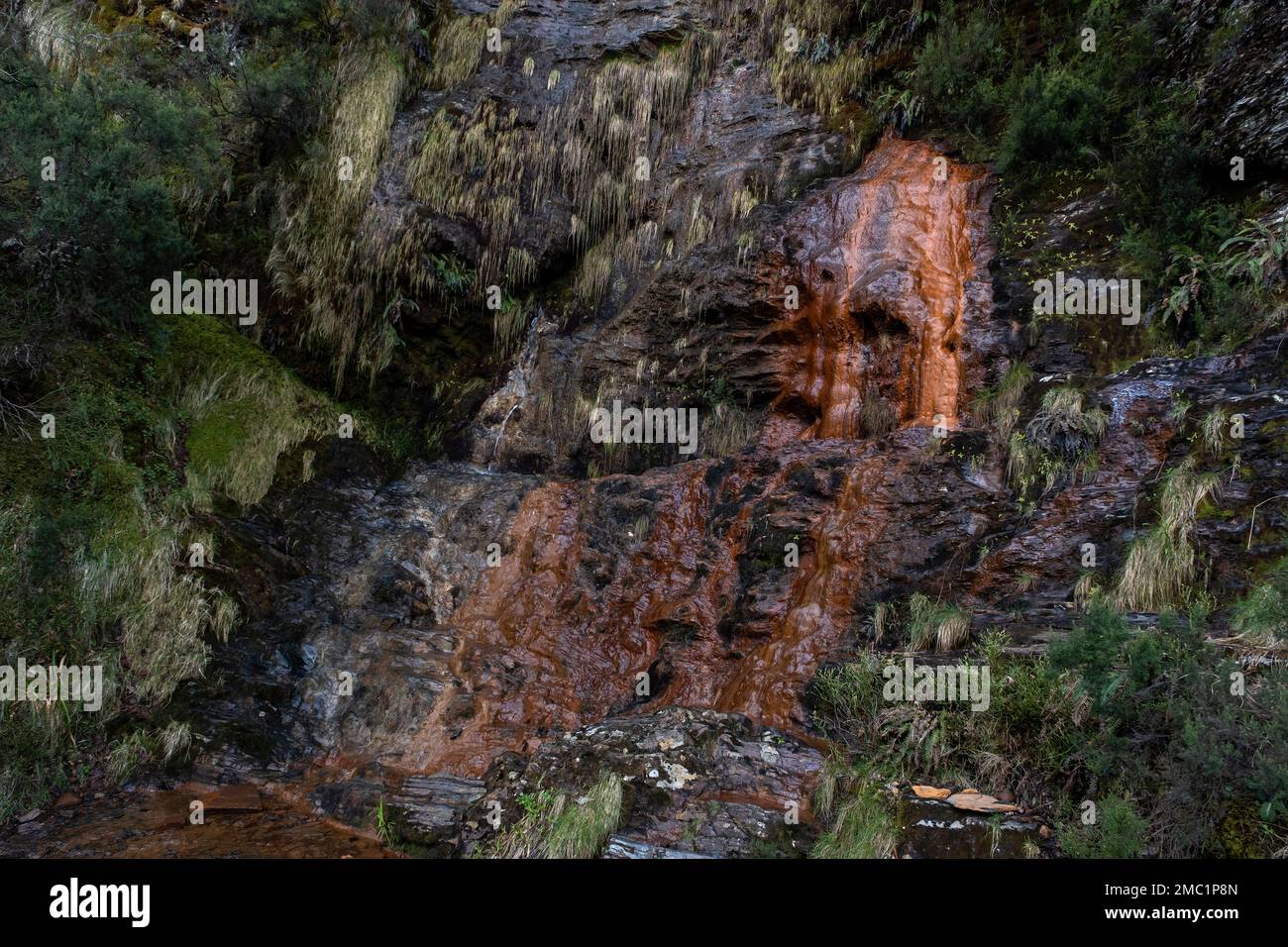 Fontes do Cervo natürliche Quellen mit eisenhaltigem und hartem Wasser in Devesa Da Rogueira, Serra do Courel, Lugo, Spanien Stockfoto