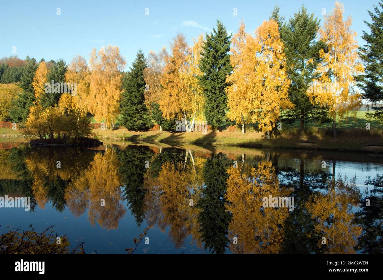 Herbstimpression Stockfoto