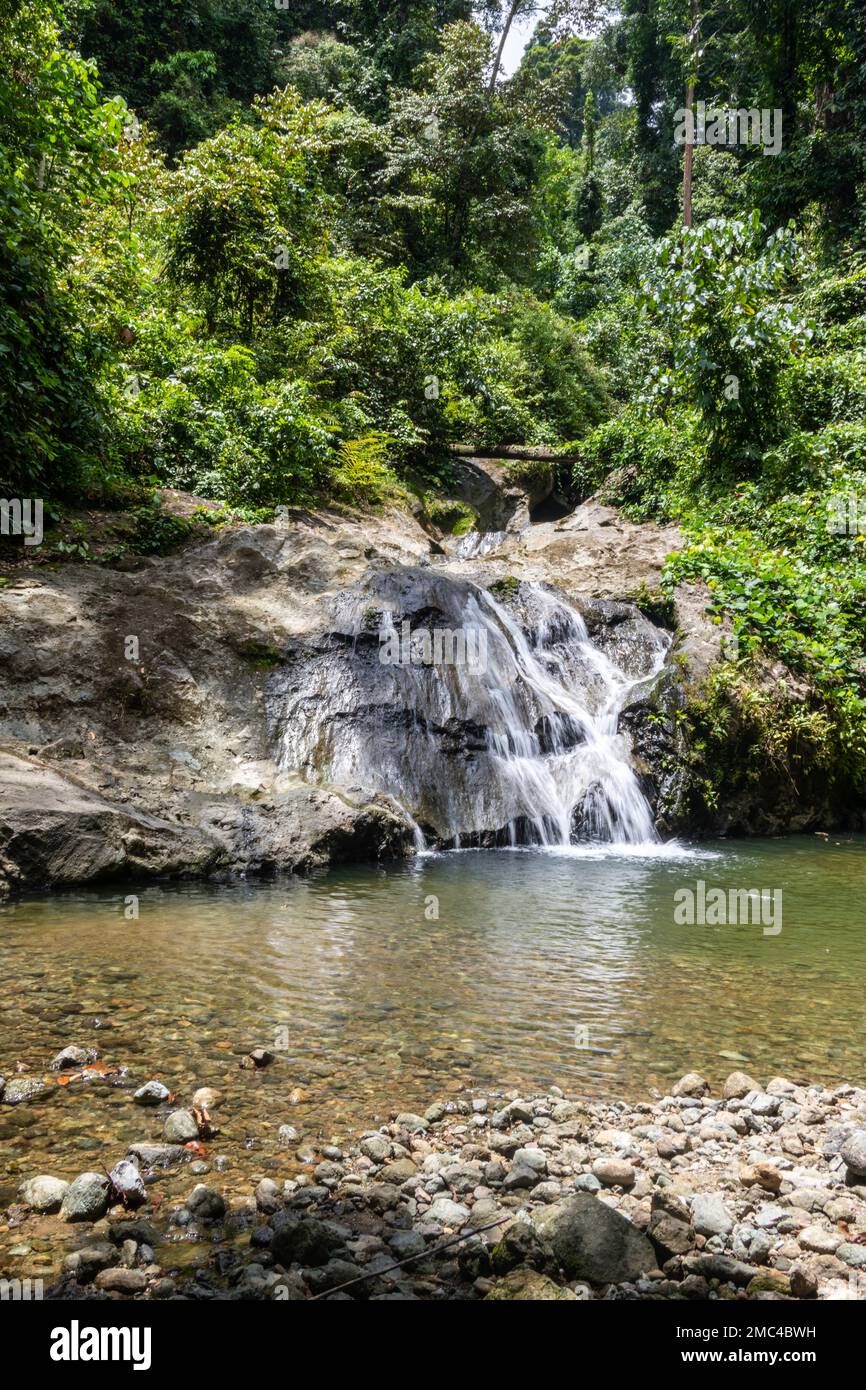 Wasserfall und Badebecken, Danum Valley, Borneo Stockfoto