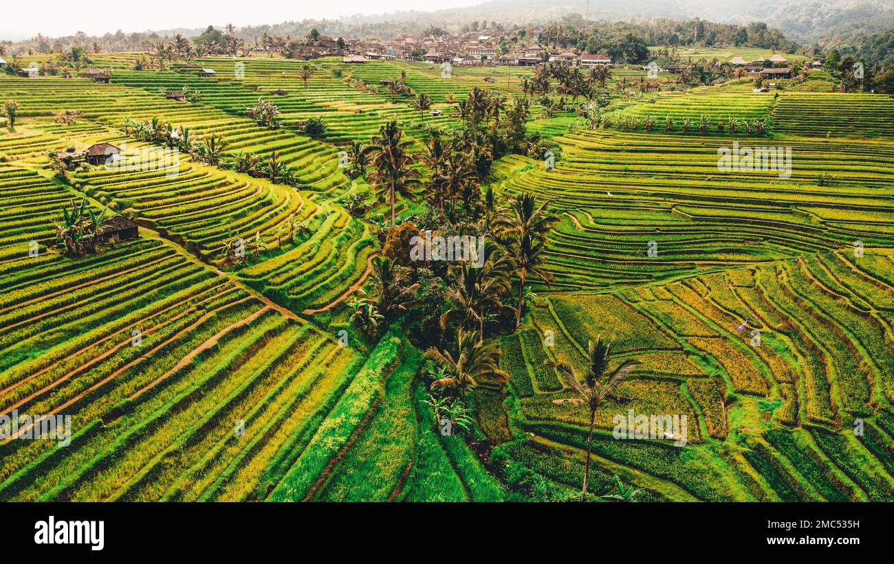 Jatiluwih Reisterrasse mit Drohne in Bali, Indonesien. Stockfoto
