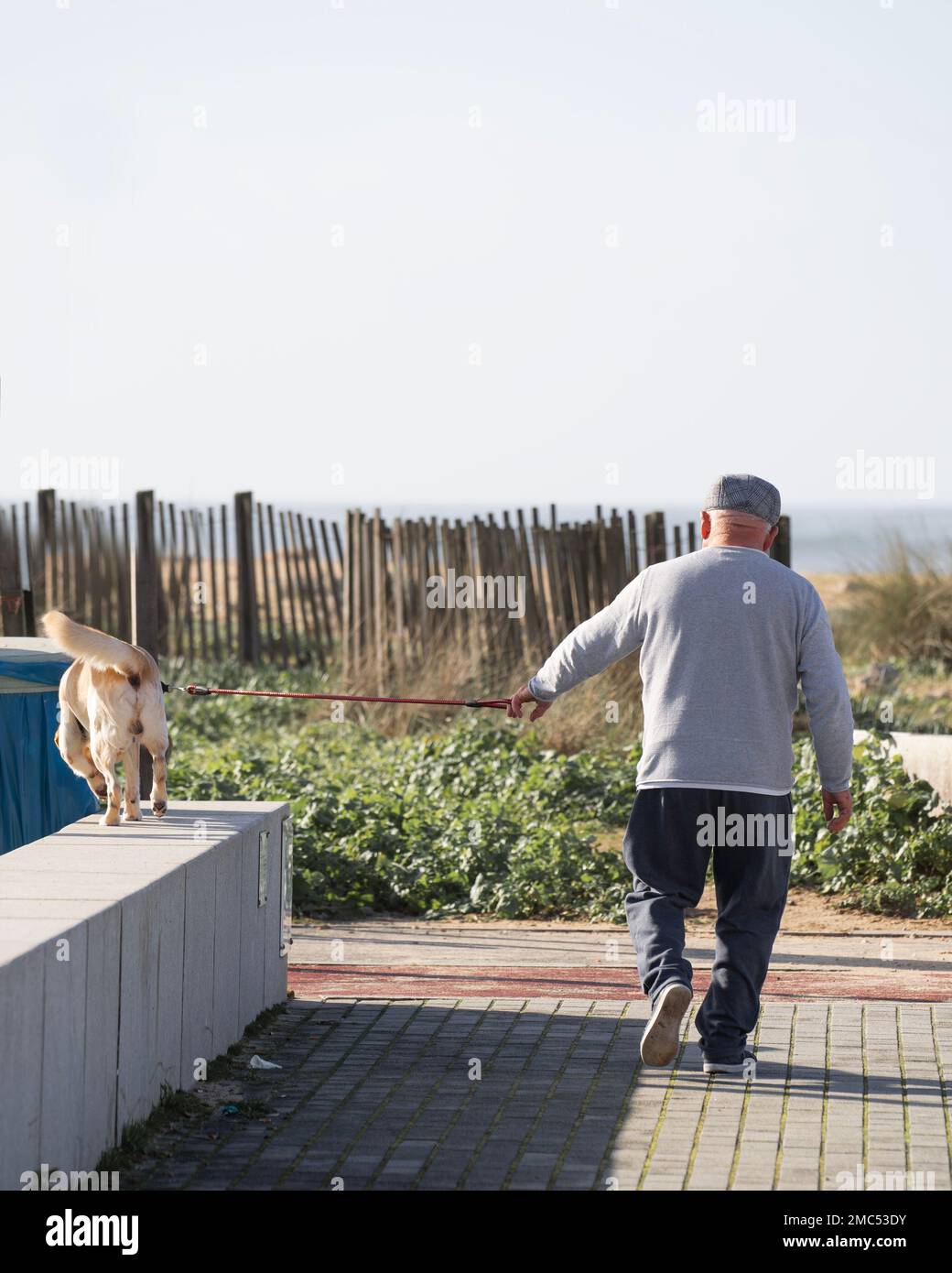 Senior-Mann läuft mit seinem Hund mit Strandküste im Hintergrund Stockfoto
