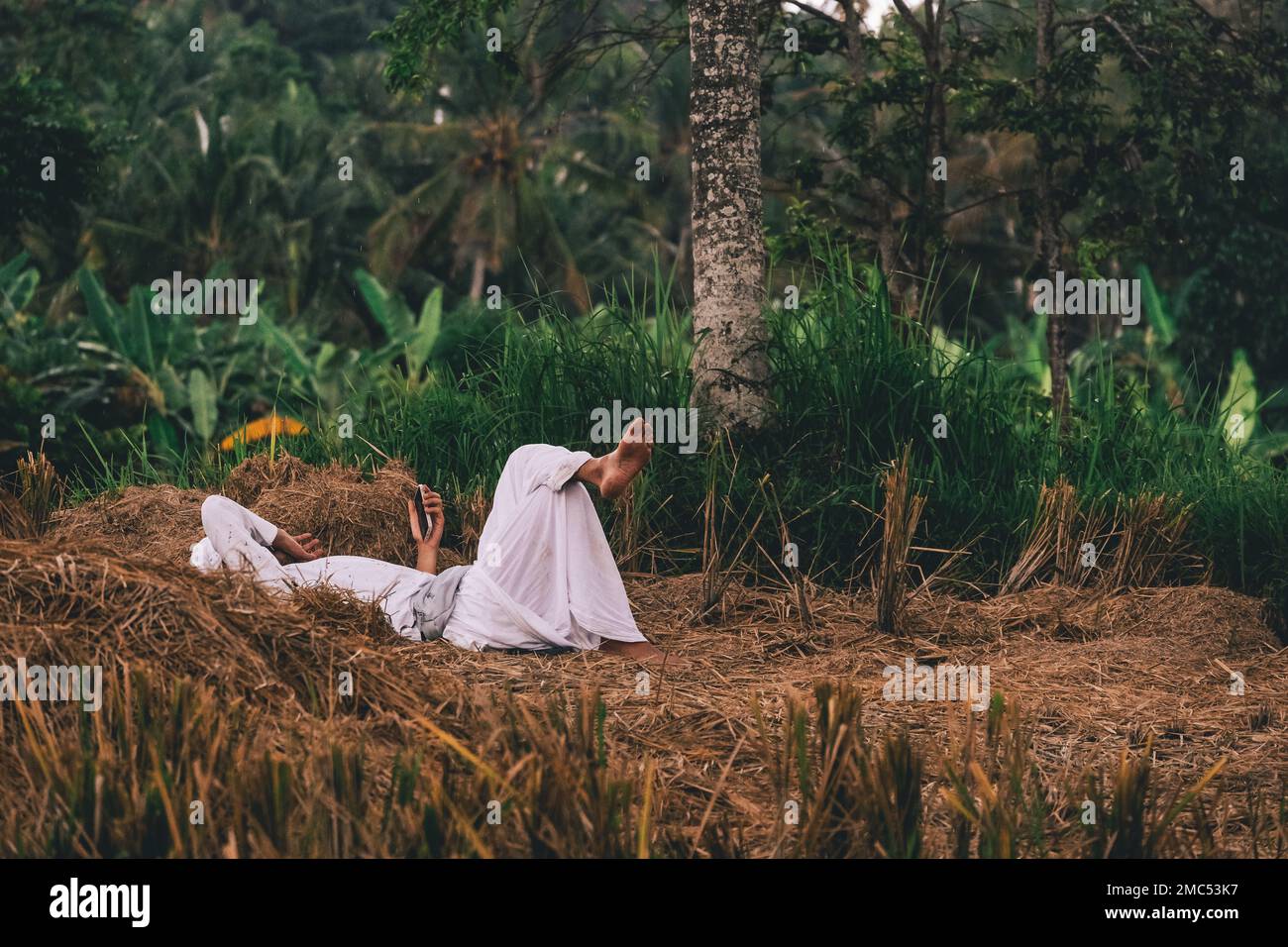 Männer können sich mit Mobilgeräten in Field, Ubud, Bali Indonesia entspannen Stockfoto