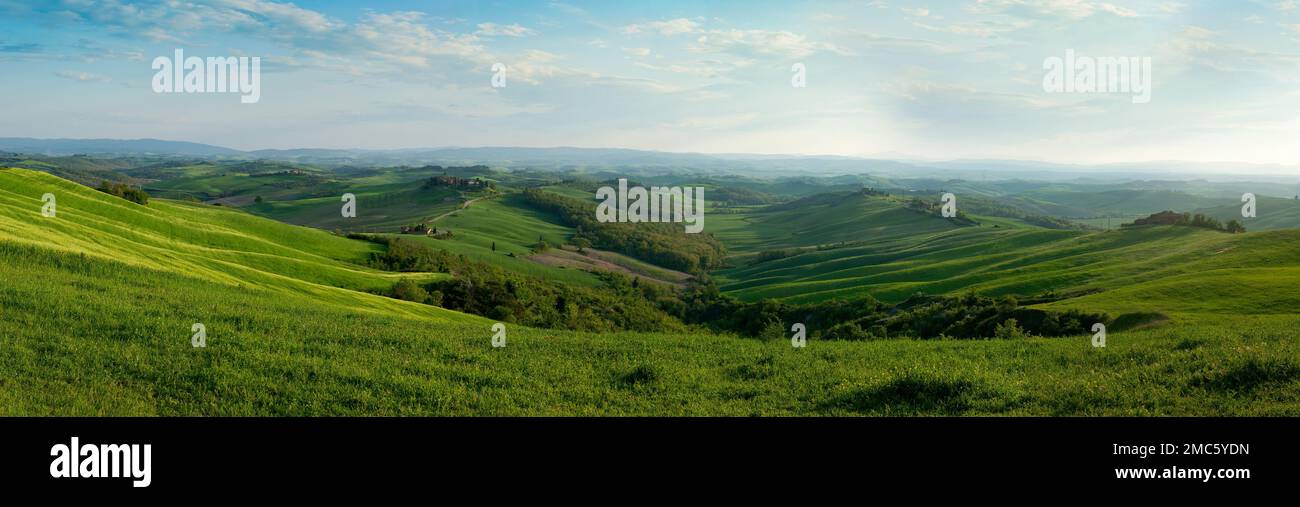 Atemberaubende grüne Hügel der Toskana an einem Frühlingstag. Val d'Orcia, Italien Stockfoto