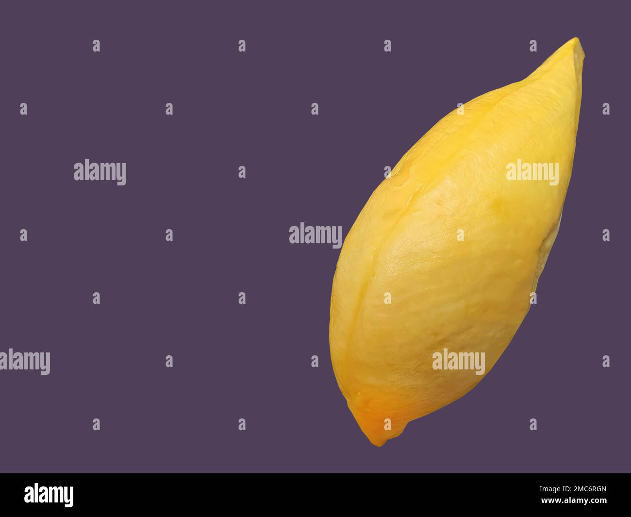 Goldgelbe Farbe Durian Fleisch, König der Früchte, natürliche Form und Form, violetter Hintergrund, isoliert, Kopierraum mit Schnittpfad, Objekt, Element Stockfoto