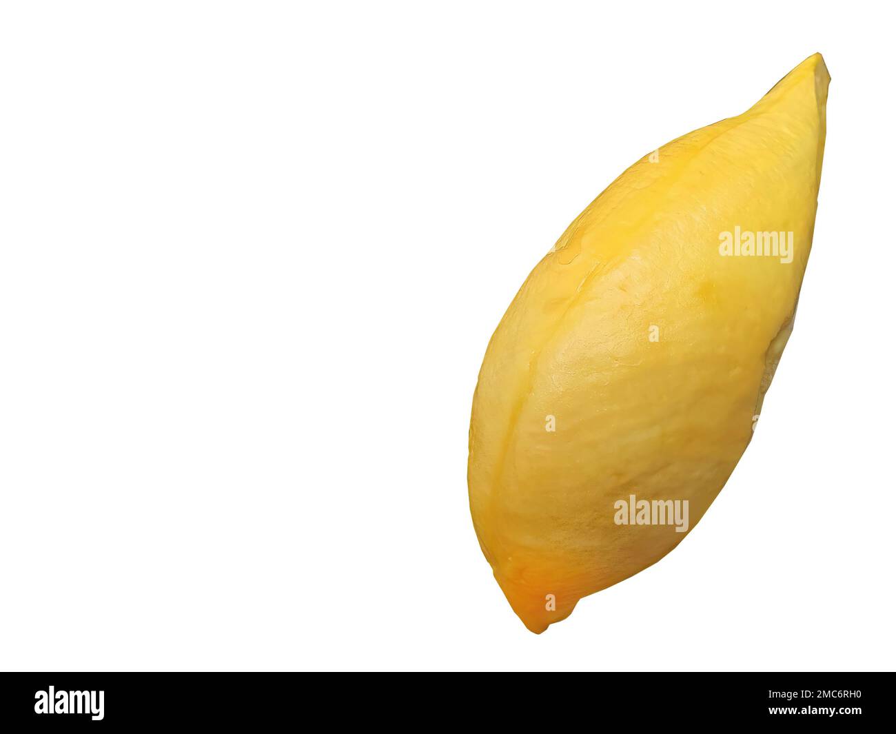 Goldgelbe Farbe Durian Fleisch, König der Früchte, natürliche Form und Form, weißer Hintergrund, isoliert, Kopierraum mit Schnittpfad, Objekt, Element Stockfoto