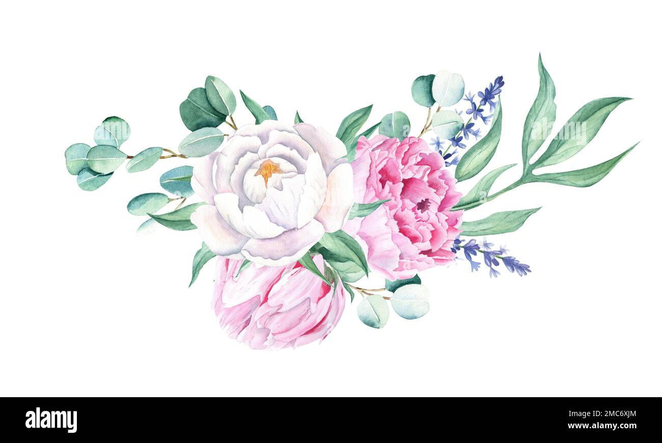 Aquarell, weiße und pinkfarbene Pfingstrosen, Lavendel, Eukalyptus. Handgemalte Abbildung isoliert auf weißem Hintergrund. Kann für Grußkarten verwendet werden Stockfoto