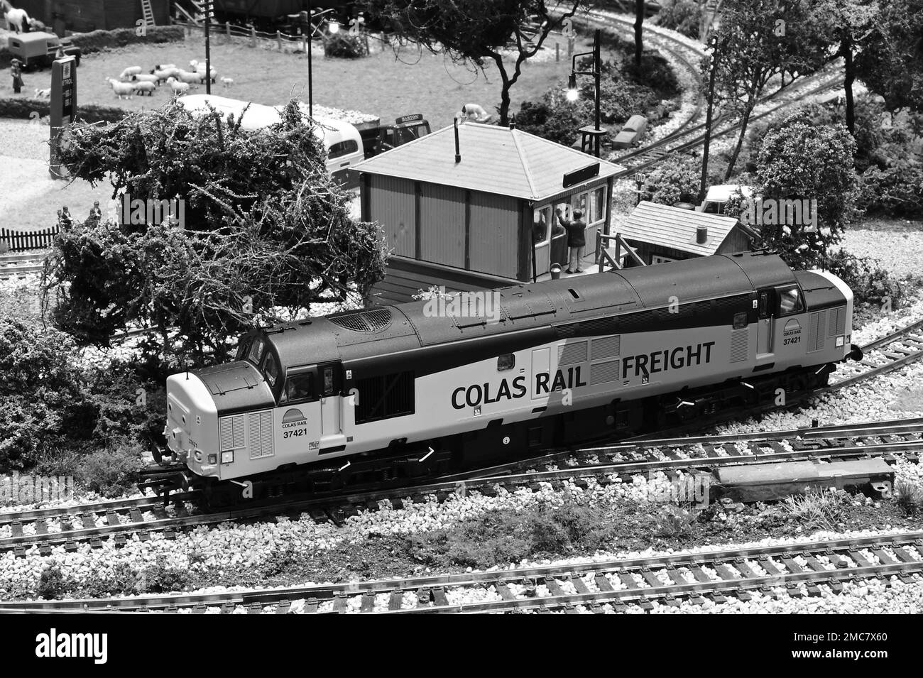 Ein Modell einer Diesellokomotive der Baureihe 37 vom Typ 4, die auf britischen Eisenbahnen eingesetzt wird. Stockfoto