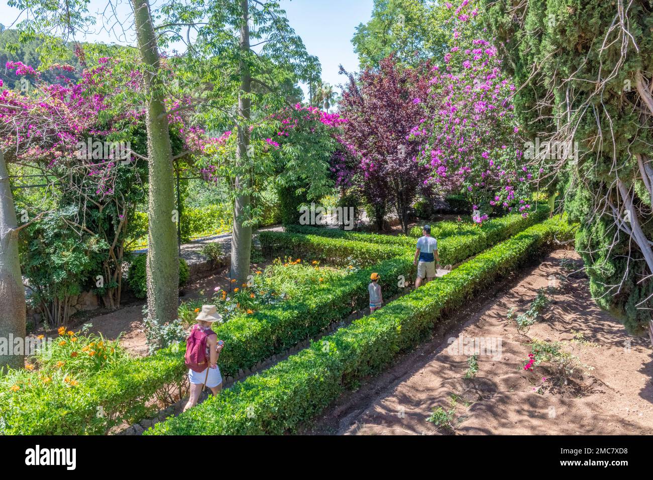 Besucher der „Jardines de Alfabia“ auf Mallorca Stockfoto
