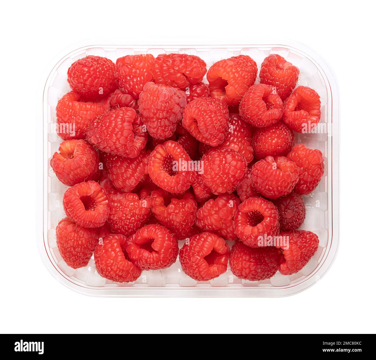 Ganz frische Himbeeren, in einer durchsichtigen Schale aus Kunststoff, von oben. Reife, rote und süße Früchte von Rubus idaeus, der kultivierten europäischen Himbeere. Stockfoto