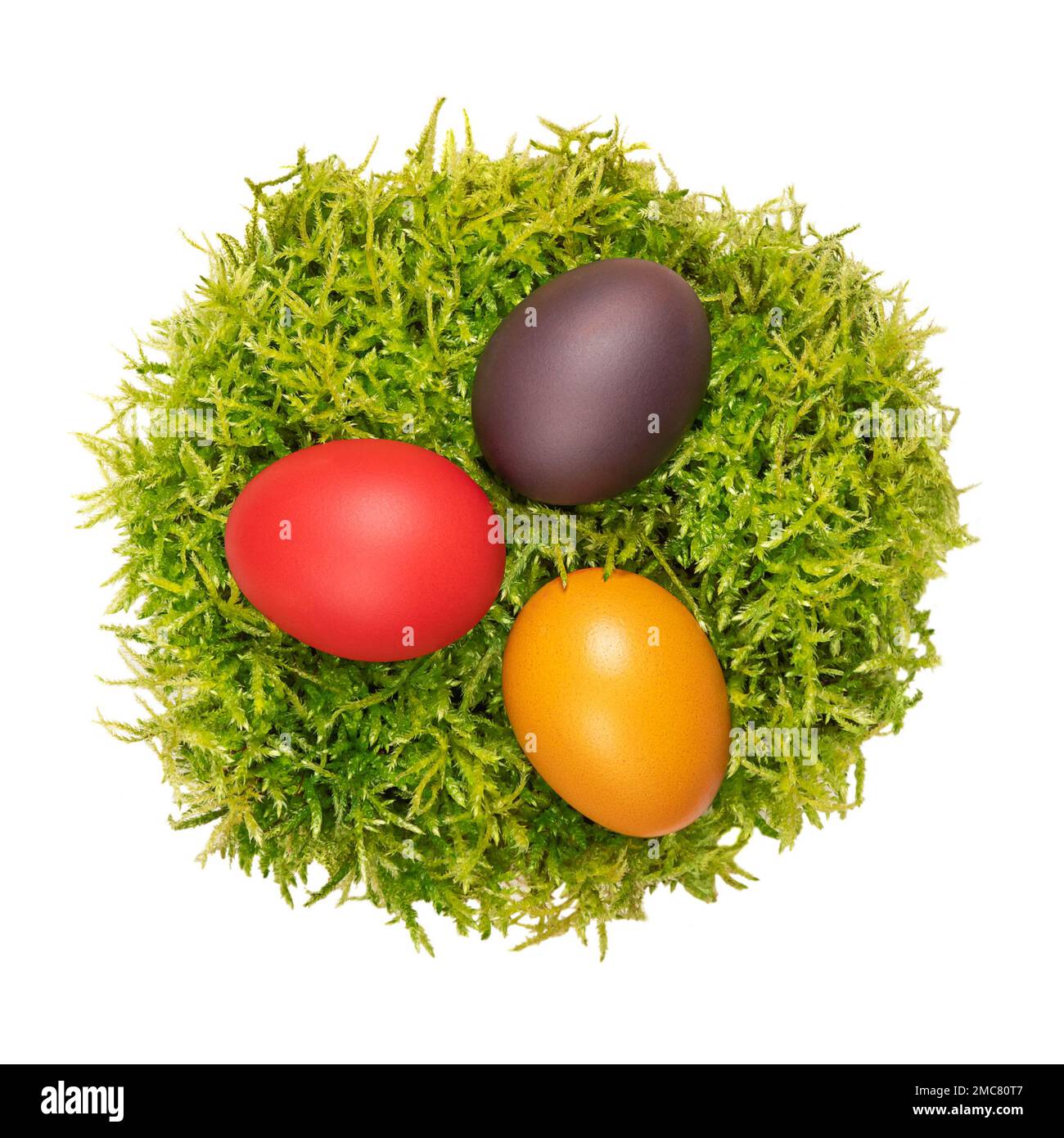 Torfmoos-Osternest mit drei bunten Ostereiern. Bunte, gefärbte Paschaleier in einem weichen Nest aus grünem Torfmoos. Ostereiersuche. Stockfoto