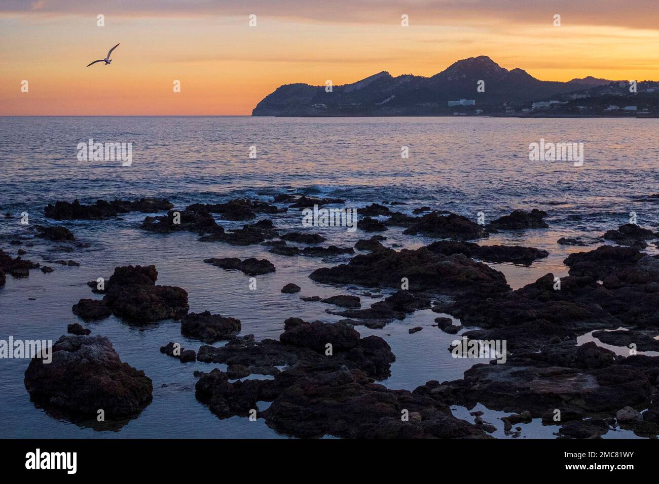 Abendliche Atmosphäre an der Promenade von Cala Ratjada Stockfoto