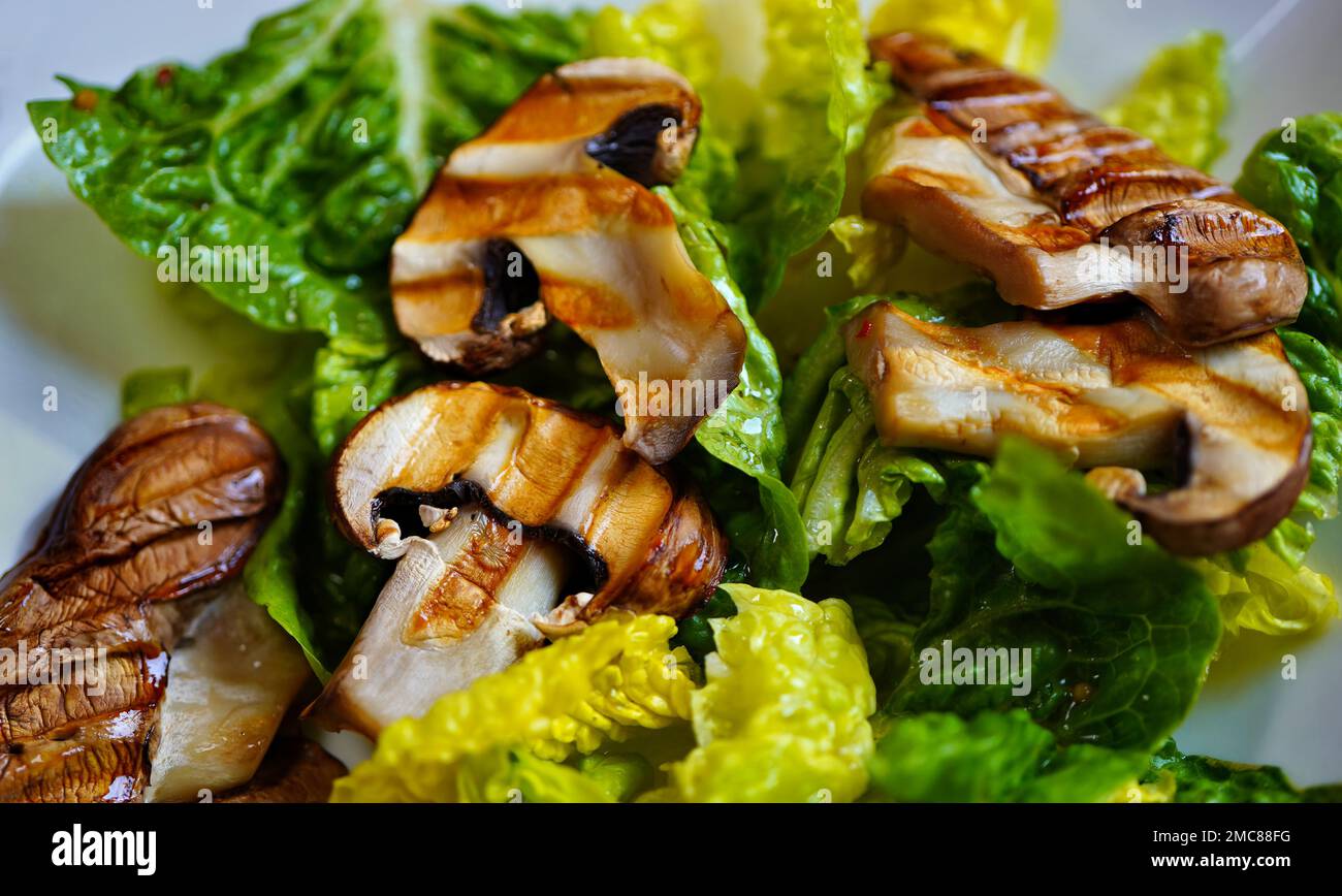 Nahaufnahme von gegrillten Pilzen und frischem grünen Salat. Stockfoto