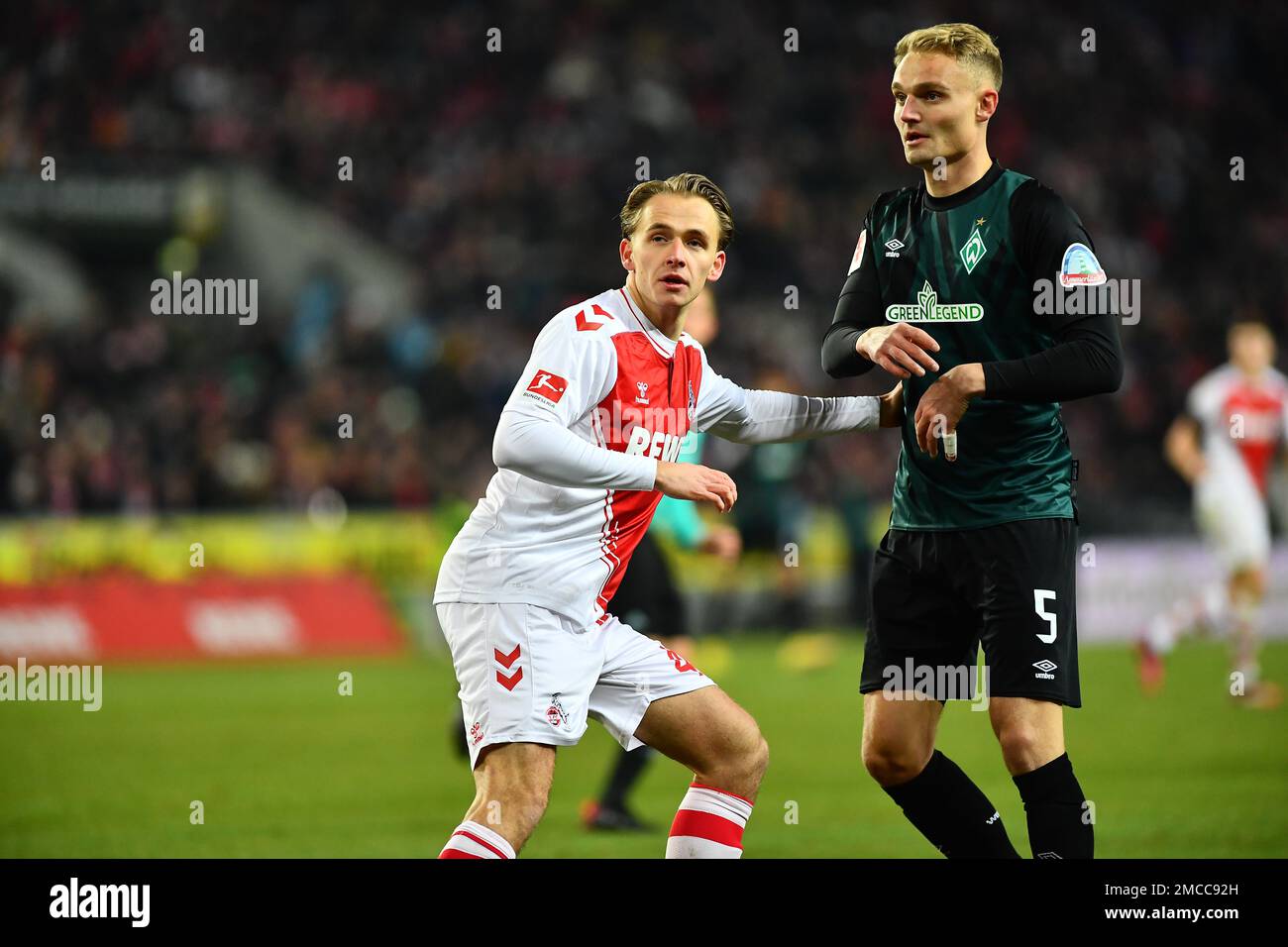 DEUTSCHLAND, KÖLN - 21. JANUAR 2023: Mathias Olesen, Amos Pieper. Bundesliga 1. FC Köln gegen SV Werder Bremen Stockfoto