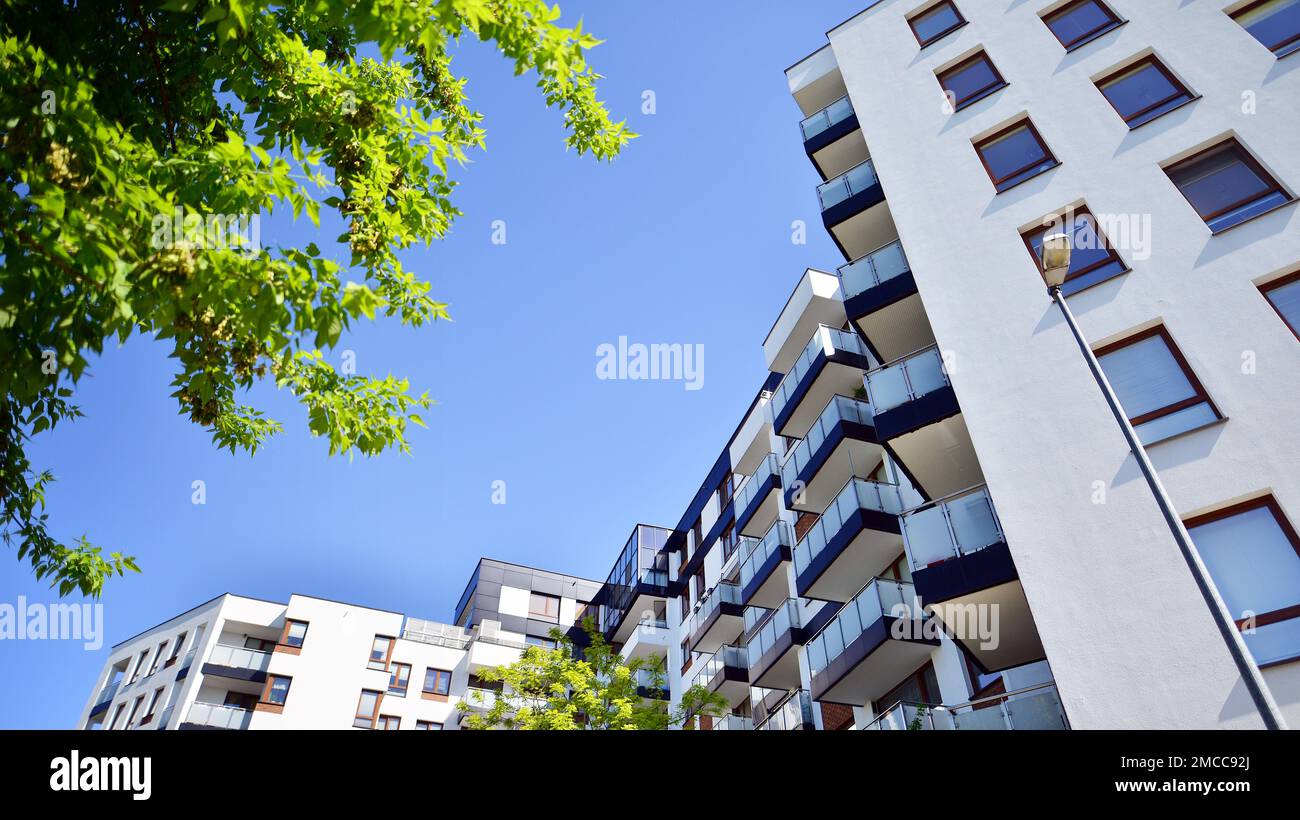 Umweltfreundliche Architektur. Grüner Baum und Apartmentgebäude. Die Harmonie von Natur und Moderne. Stockfoto