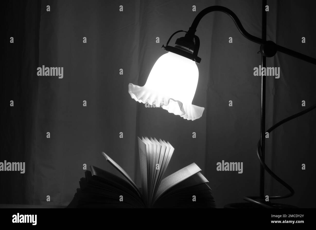 Offenes Buch und eine Vintage-Lampe, Lesen, Bildung, Lernkonzept, Schwarzweiß, guter Kopierbereich Stockfoto