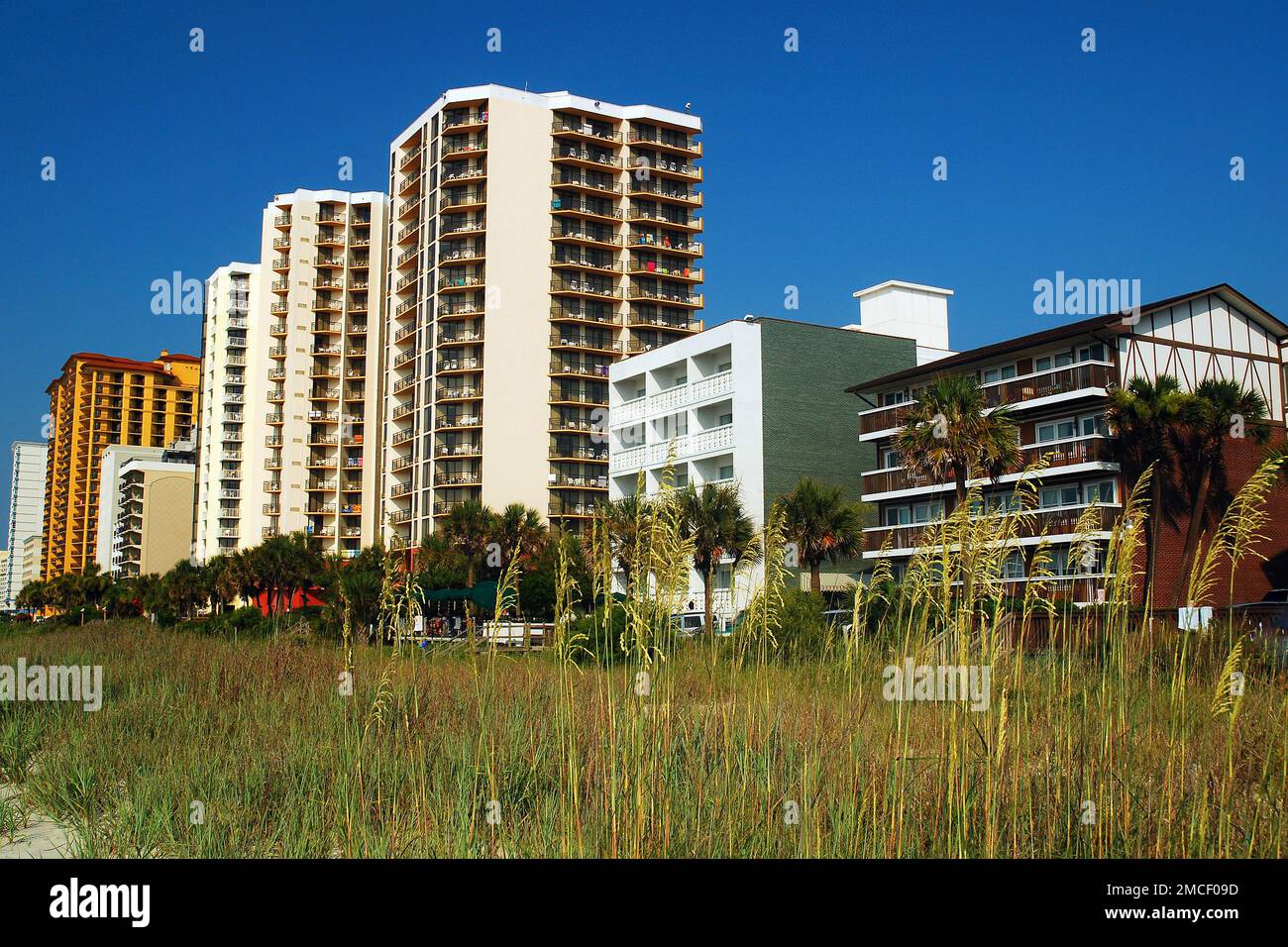 Hochhaus-Wohnungen und Hotels stehen am Meer in Myrtle Beach, South Carolina Stockfoto