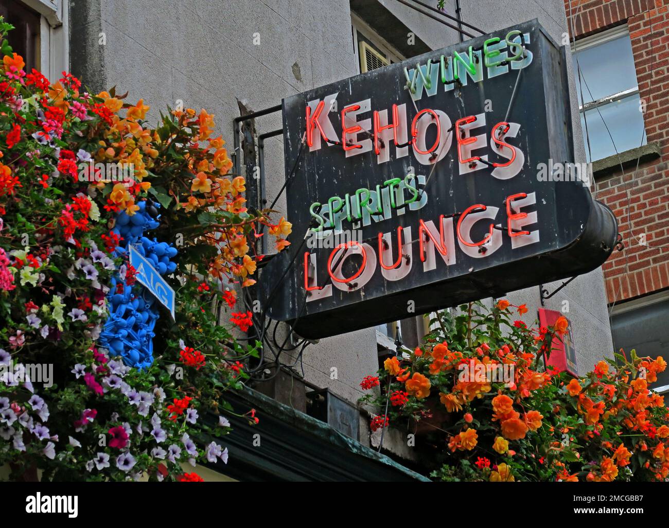 Kehoes Lounge Pub-Schild in Neon, Wine & Spirits, traditionelles irisches Wasserloch, 9 Anne St S, Dublin, Eire, D02 NY88, Irland Stockfoto