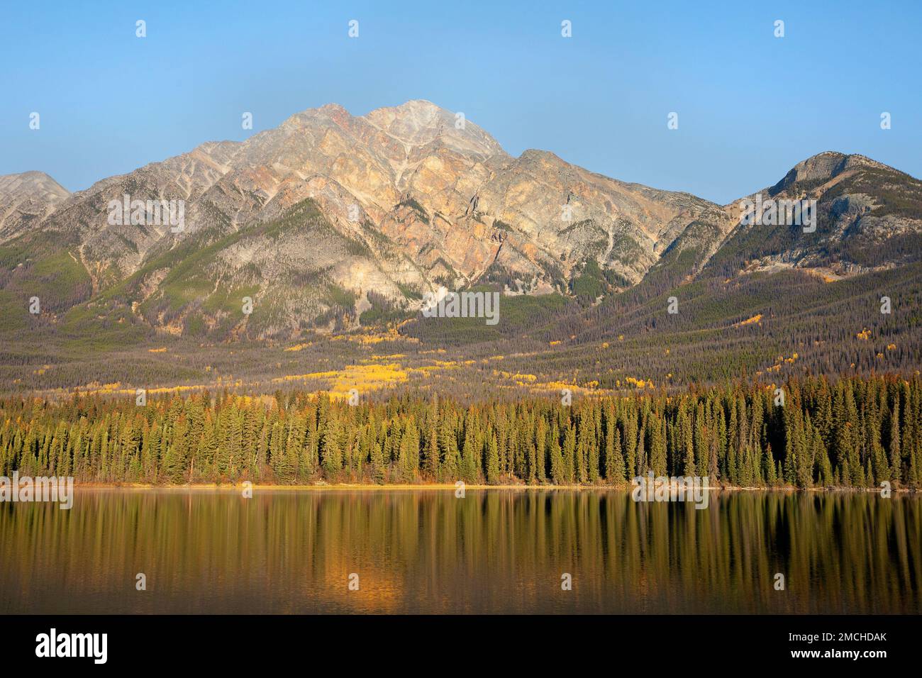 Borealwald am Ufer des Pyramid Lake und am Pyramid Mountain mit klarem blauen Himmel im Jasper National Park, Alberta, Kanada Stockfoto