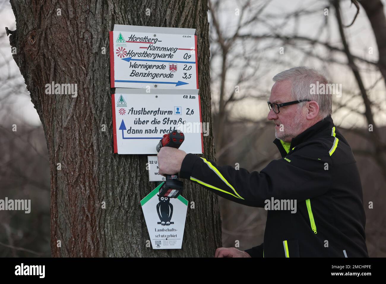 PRODUKTION - 20. Januar 2023, Sachsen-Anhalt, Wernigerode: Harzklub-Mitglied Volker Friedrich zieht ein Wanderschild an einen Baum in Wernigerode. Der Harzklub Branch Club in Wernigerode ist der einzige verbliebene Club, der die Schilder für die ausgewiesenen Wanderwege noch von Hand herstellt. Jedes der aufwendig gestalteten Wanderschilder erfordert ca. 2-4 Stunden Arbeit. Das besondere Merkmal der traditionellen Wanderschilder ist die handbemalte Schrift, die in einer präzisen Form angeordnet ist. Frau Nicole Friedrich ist dafür verantwortlich. Jedes Jahr müssen viele Schilder aufgrund von Vandalismus oder Sturmschäden und A ersetzt werden Stockfoto