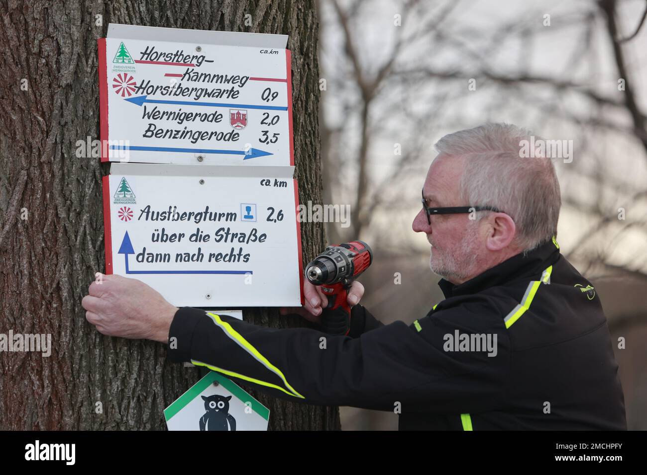 PRODUKTION - 20. Januar 2023, Sachsen-Anhalt, Wernigerode: Harzklub-Mitglied Volker Friedrich zieht ein Wanderschild an einen Baum in Wernigerode. Der Harzklub Branch Club in Wernigerode ist der einzige verbliebene Club, der die Schilder für die ausgewiesenen Wanderwege noch von Hand herstellt. Jedes der aufwendig gestalteten Wanderschilder erfordert ca. 2-4 Stunden Arbeit. Das besondere Merkmal der traditionellen Wanderschilder ist die handbemalte Schrift, die in einer präzisen Form angeordnet ist. Frau Nicole Friedrich ist dafür verantwortlich. Jedes Jahr müssen viele Schilder aufgrund von Vandalismus oder Sturmschäden und A ersetzt werden Stockfoto