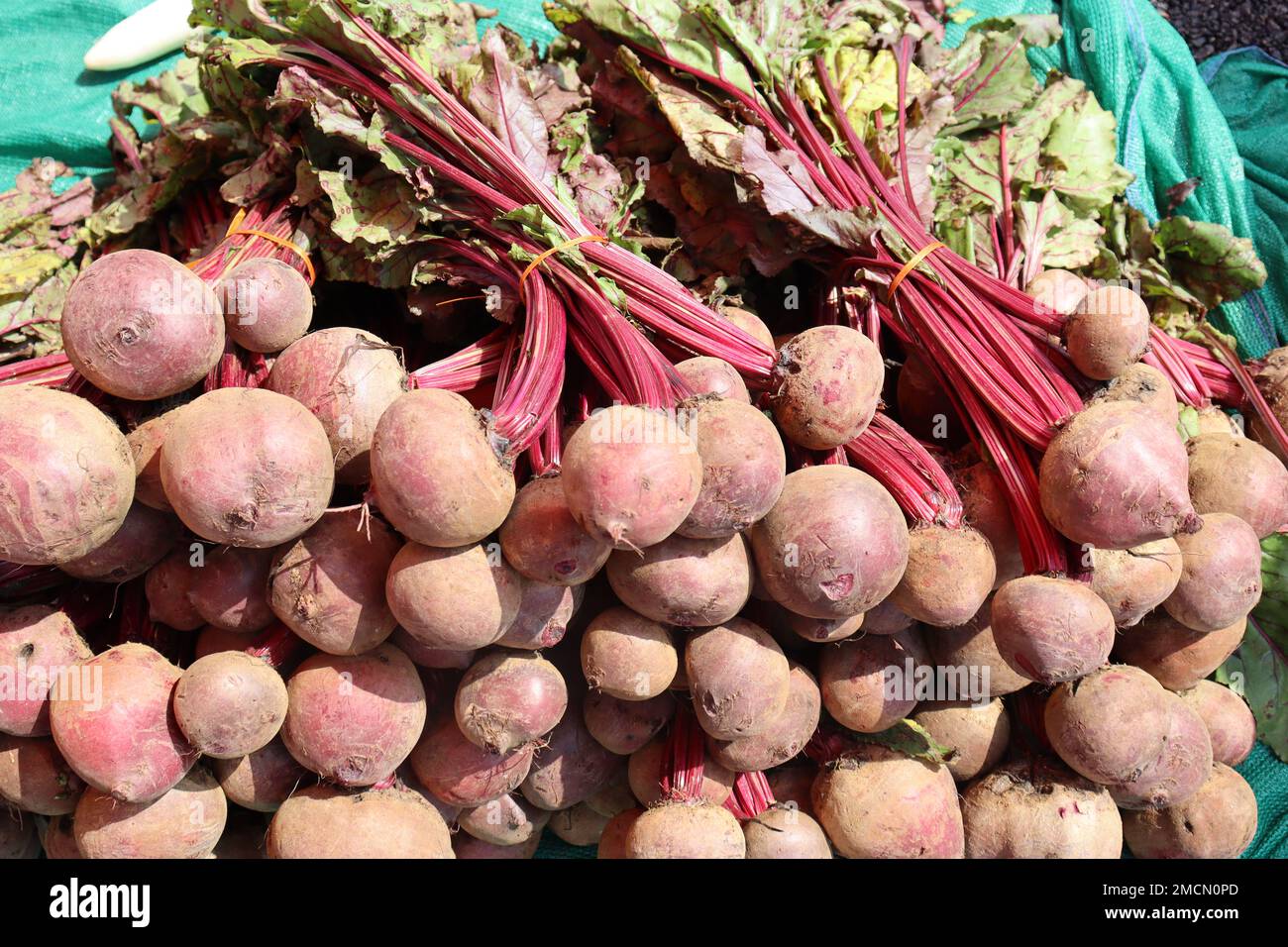 Frische Rote Bete mit Stiel und grünen Blättern auf dem Gemüsemarkt zum Verkauf Stockfoto