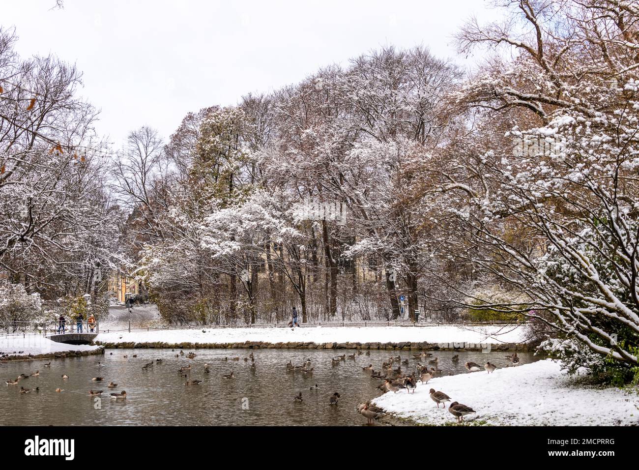 Englischer Garten München in Winterszene Stockfoto