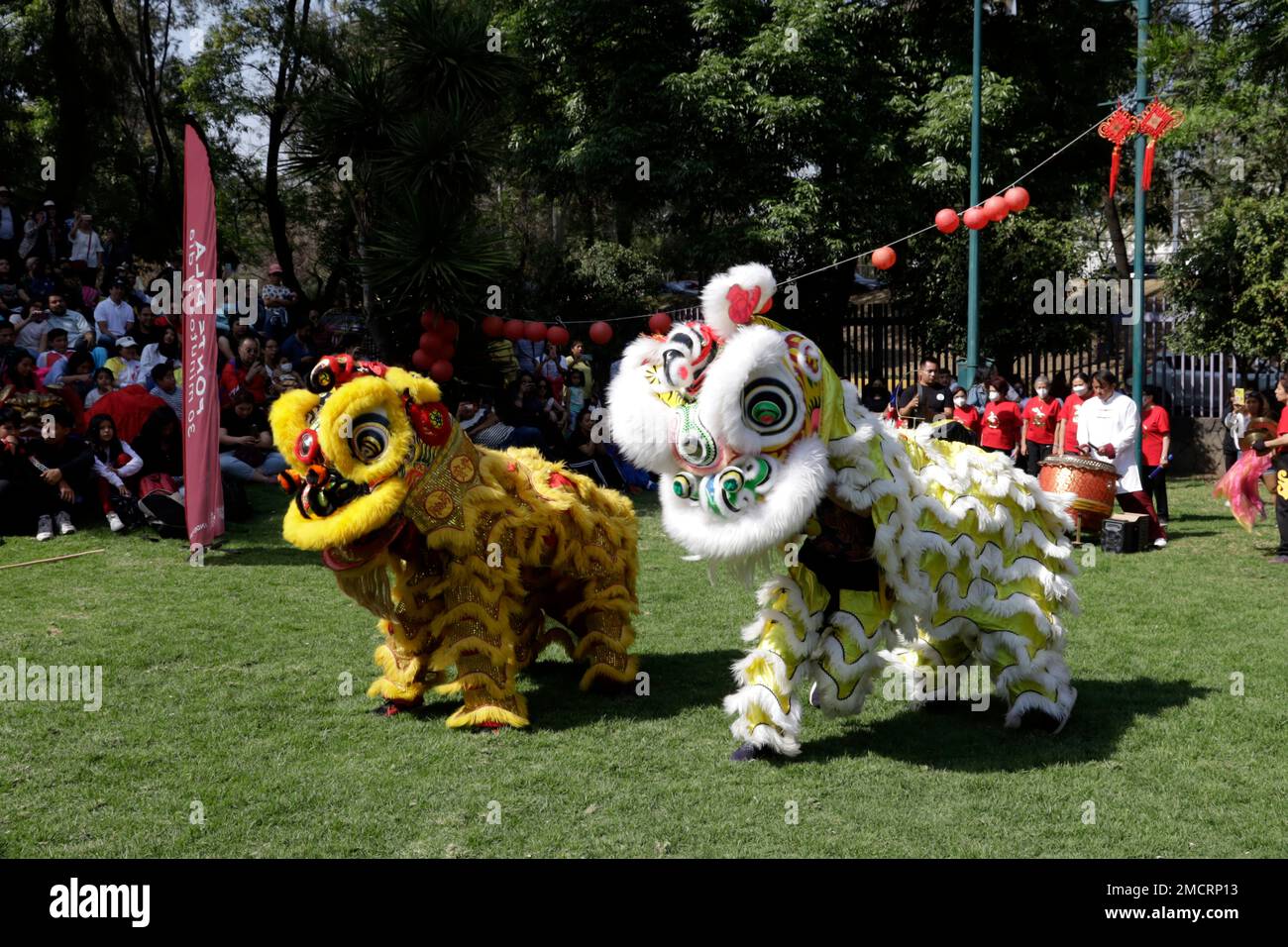 Nicht exklusiv: 21. Januar 2023, Mexiko-Stadt, Mexiko: Schulen der chinesischen Kultur und Kulturförderer feiern das chinesische Neujahr, das vom regiert wird Stockfoto