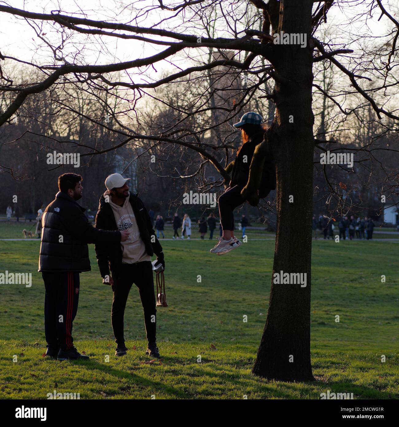 Frauen sitzen auf einem Baum im Greenwich Park, während sie sich mit zwei Freunden unterhält. London, England Stockfoto