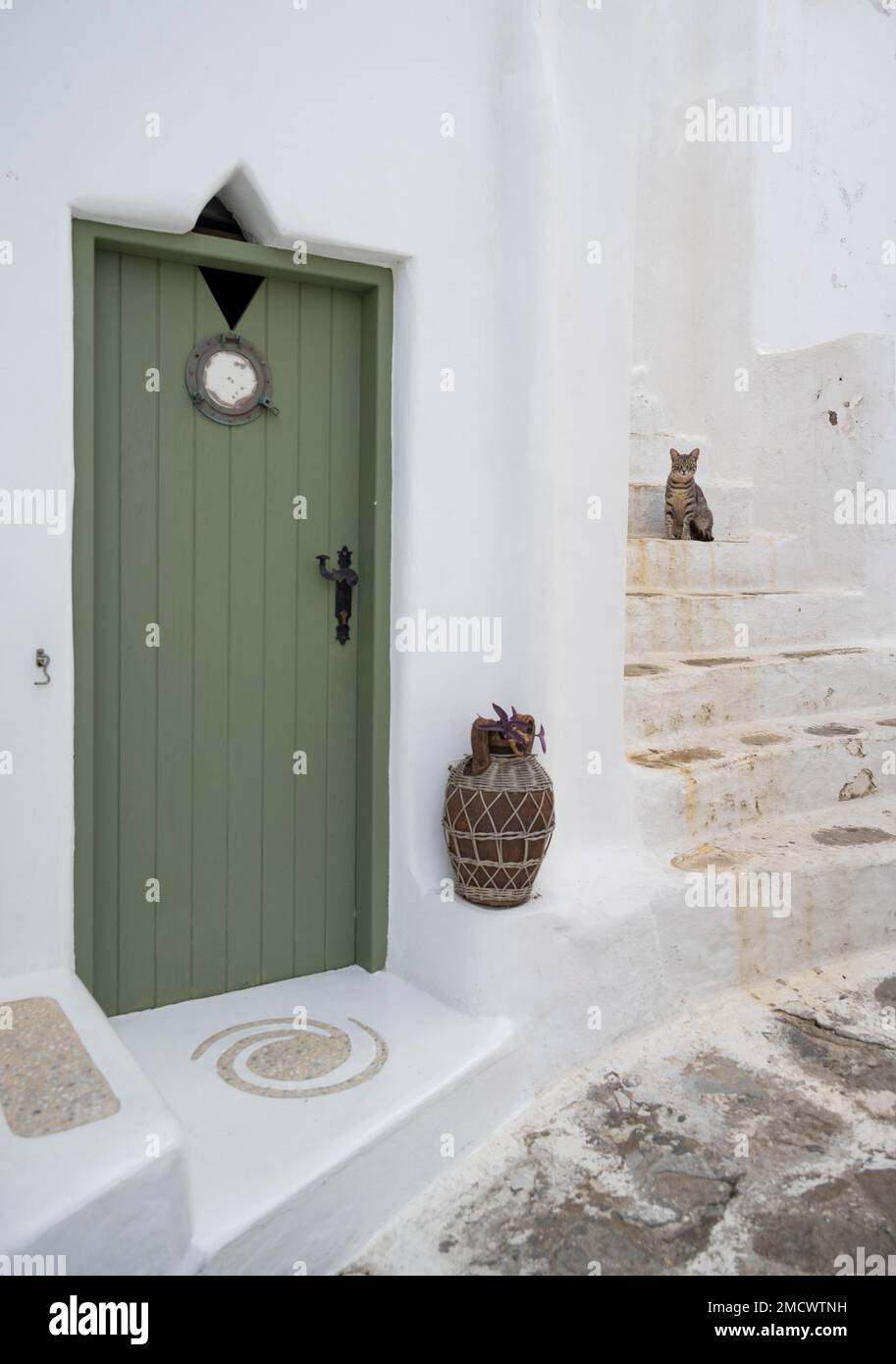 Weiße Hausfassade mit grüner Eingangstür, Katze auf Treppen, kykladische weiße Häuser, Gassen der Altstadt Chora, Mykonos Stadt, Mykonos, Kykladen Stockfoto