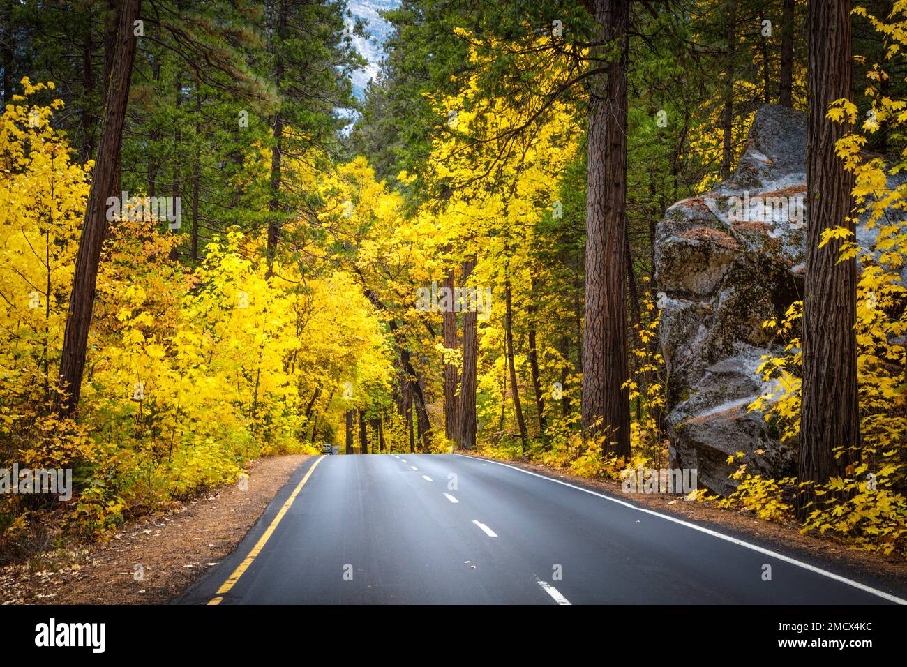 Die Yosemite Valley Loop Road. Yosemite-Nationalpark, Kalifornien. Stockfoto