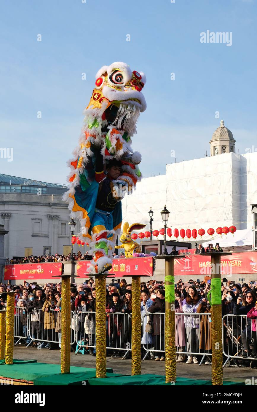 London, Großbritannien. 22. Januar 2023. Ein Löwentanz der Chen Brüder eröffnet die chinesische Neujahrsfeier am Trafalgar Square, der das Jahr des Hasen begrüßt. Tausende von Besuchern werden die Festlichkeiten am Tag auf dem Platz und in Chinatown genießen. Kredit: Elfte Stunde Fotografie/Alamy Live News Stockfoto