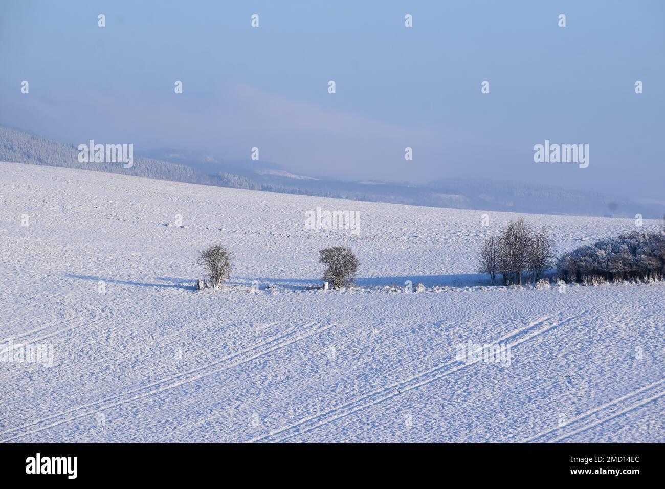 Schneebedeckte Felder Stockfoto