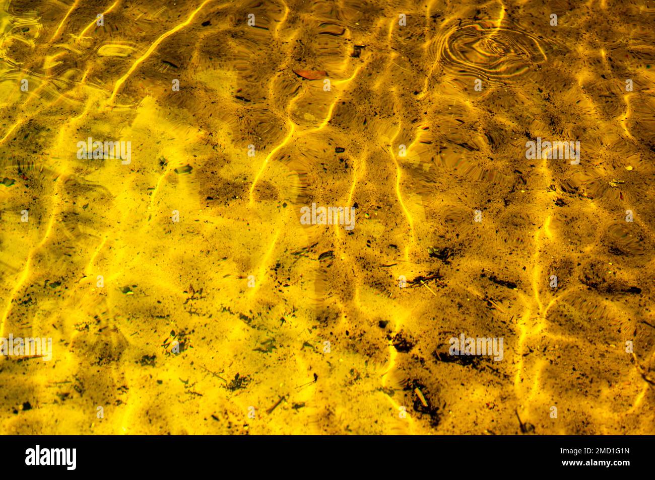 Nahaufnahme einer welligen Wasseroberfläche in der Nähe der Küste. Heiße Sonnenstrahlen, die durch die dünne Wasserschicht eindringen und vom Sandboden reflektieren Stockfoto