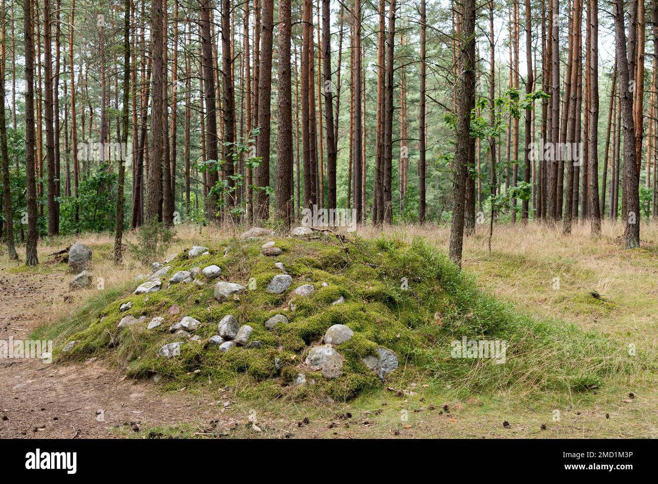 Steinkreis des prähistorischen Grufti-Grabungsgeländes Rezerwat przyrody Kamienne Kuti (Naturschutzgebiet Stone Circle) vom 1. Bis III. Jahrhundert n. Chr. in Wesiory, Pol Stockfoto