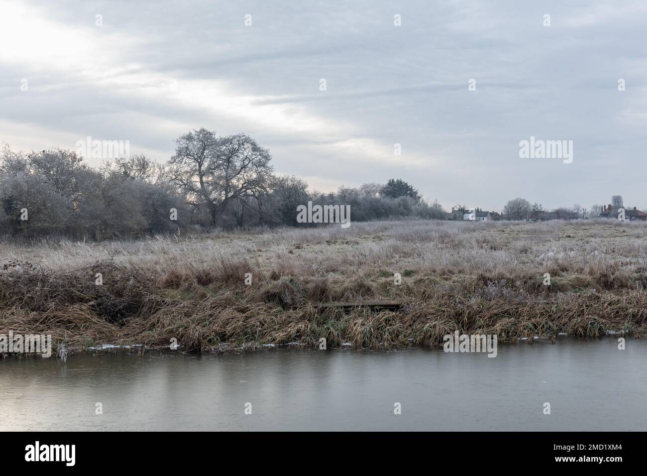 Die Landschaft von Wiltshire neben dem Kennet und dem Avon-Kanal, der an einem kalten, frostigen Morgen im Januar gefroren ist, Hilperton, Wiltshire, England, Großbritannien Stockfoto