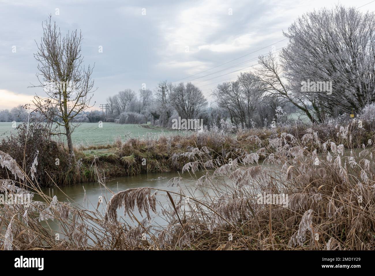 Schöne Landschaft in Wiltshire an einem kalten und frostigen Morgen entlang des Kennet und Avon-Kanals in Hilperton, Wiltshire, England Stockfoto
