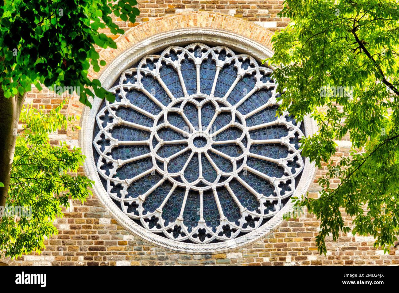 Rosenfenster der Kathedrale, Triest, Italien Stockfoto