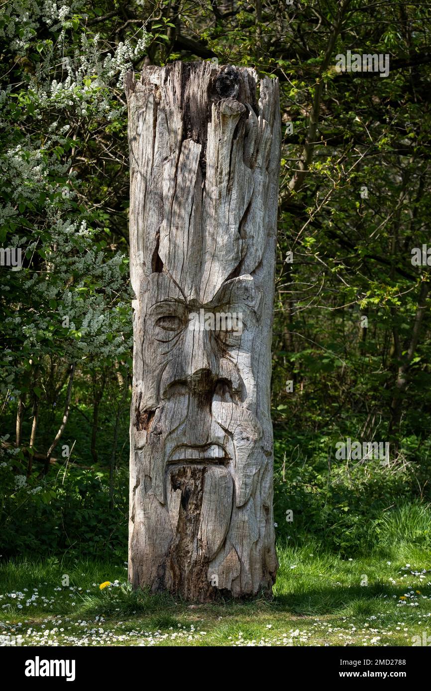 Geschnitztes Gesicht auf Baumstump, Rivacre Valley Country Park, Ellesmere Port, Cheshire, England, Großbritannien Stockfoto