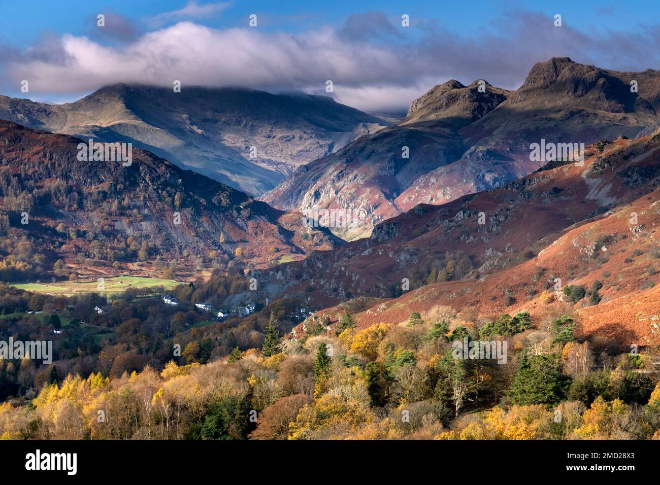 Great Langdale Valley und Langdale Pikes im Herbst, Lake District National Park, Cumbria, England, Großbritannien Stockfoto