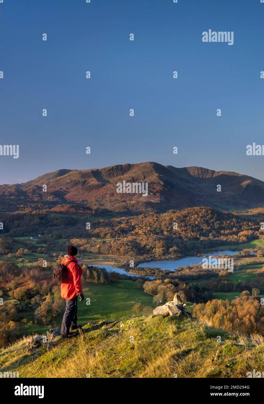 Walker mit Blick auf Elter Water und Wetherlam von Loughrigg fiel im Herbst im Lake District National Park, Cumbria, England, Großbritannien Stockfoto