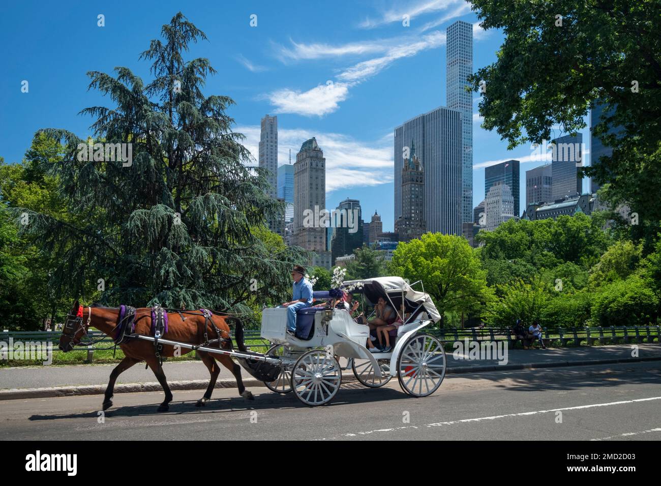 Pferdekutschfahrt durch den Central Park mit New York City dahinter, Central Park, New York, USA Stockfoto