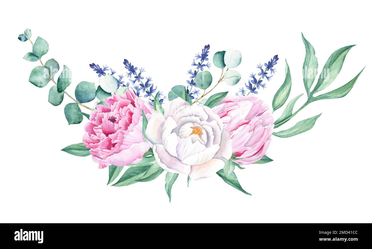 Aquarell, weiße und pinkfarbene Pfingstrosen, Lavendel, Eukalyptus. Handgemalte Abbildung isoliert auf weißem Hintergrund. Kann für Grußkarten verwendet werden Stockfoto