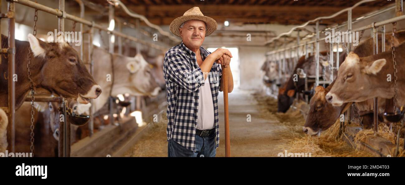 Herder posiert in einer Kuhfarm Stockfoto