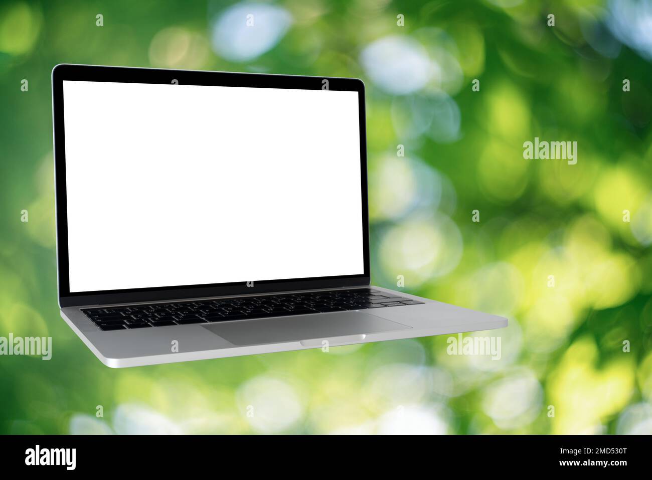 Laptop mit leerem Bildschirm auf grünem Hintergrund Stockfoto