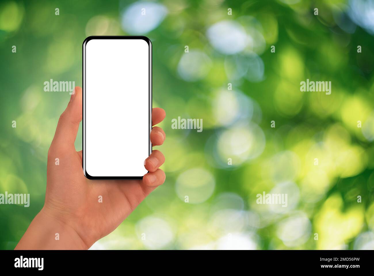 Hand mit Smartphone auf grünem Hintergrund Stockfoto