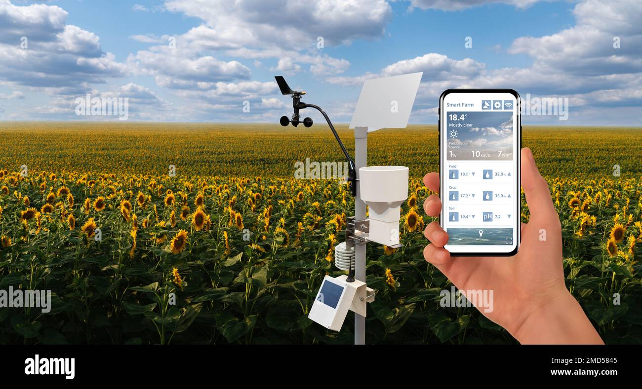 Landwirt steuern Wetterstation über mobile App. Präzise und intelligente Landmaschinen Stockfoto